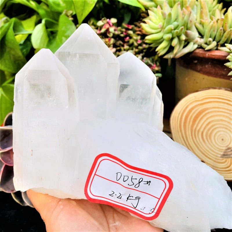 Large (4.85 lbs.) Quartz Crystal (Item #0058)