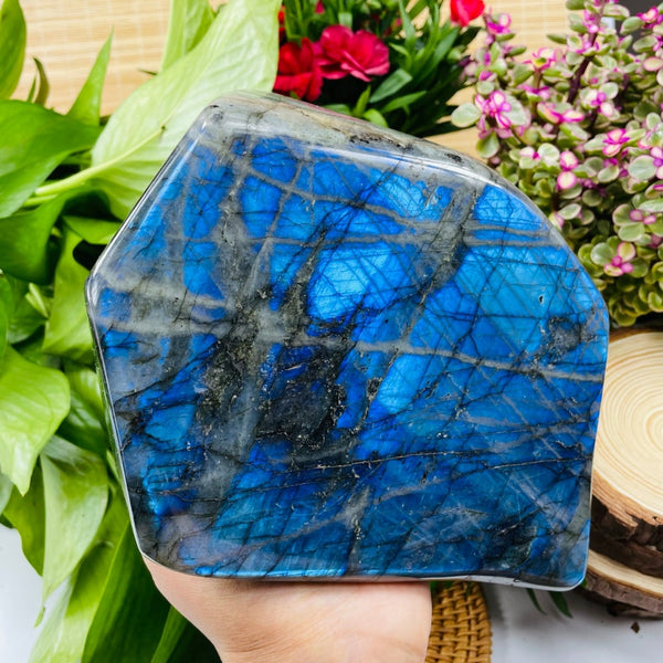 Large (5.49 lbs.) Labradorite Freeform (Item #0022)