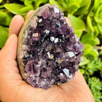 Amethyst Geode with Quartz Formation (Item #0019)