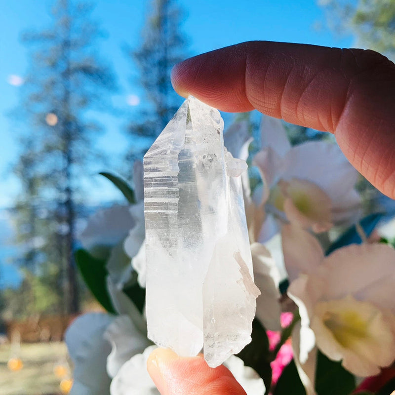 HEIDI Lemurian Quartz Shards - rawstone