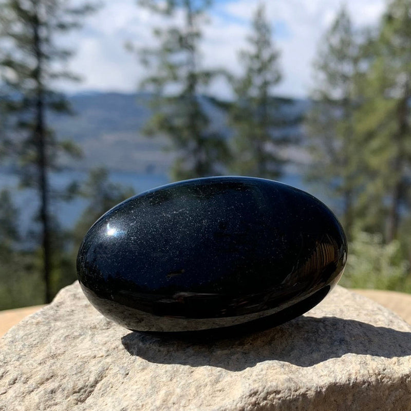 PRIZE WINNER! Obsidian Palmstone - (Just Pay Cost of Shipping)