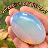 ¡SORTEO GRATIS! Piedra de Palma Opalita - (Solo Pague el Costo de Envío)