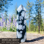 Rainbow Fluorite Crystal Bundle Kit + Courses, Meditations & Hypnosis