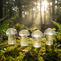 20-Piece Mushroom Gemstones Kit