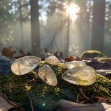 Melek Saçı Rutilated Kuvars Gözyaşı