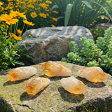 Z ARRON DESIGN Serenity Moonstone kobbertråd anheng halskjede