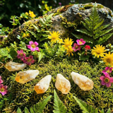 Z ARRON DESIGN Serenity Moonstone kobbertråd vedhæng halskæde