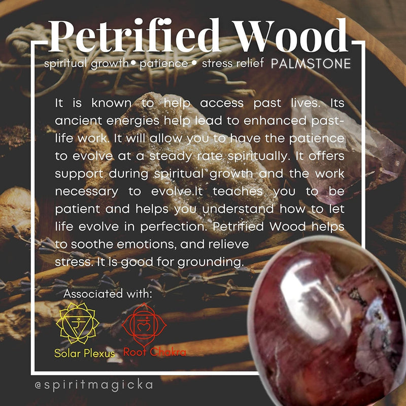 Petrified Wood Palmstone - palmstone