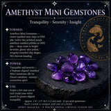 ♓ Peixes - 19 de fevereiro a 20 de março - Conjunto Zodiac Crystal Fusion com bolsa
