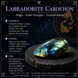 ♓ Peixes - 19 de fevereiro a 20 de março - Conjunto Zodiac Crystal Fusion com bolsa
