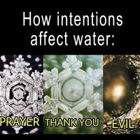 Carnelian Gem Pod Water Bottle 💧