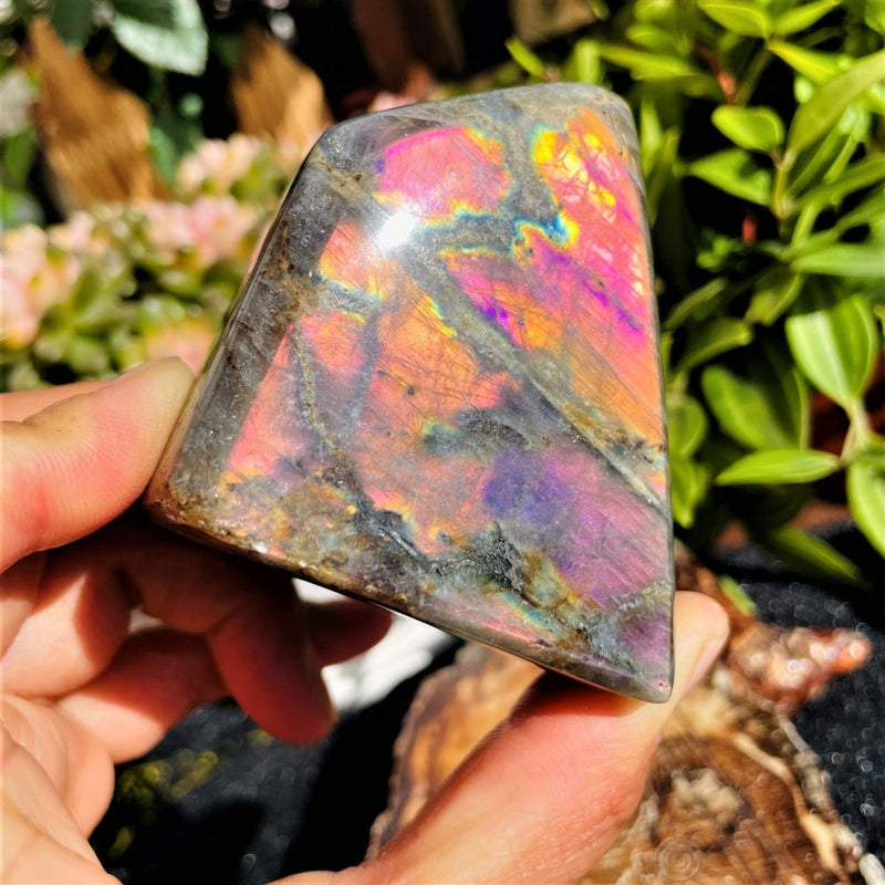 Purple Flash Labradorite Freeform (Item #1006)