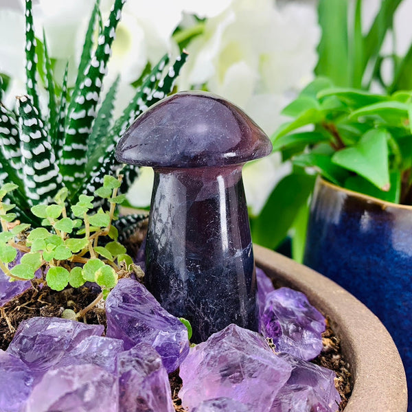 Purple Fluorite Mushroom - mushroom