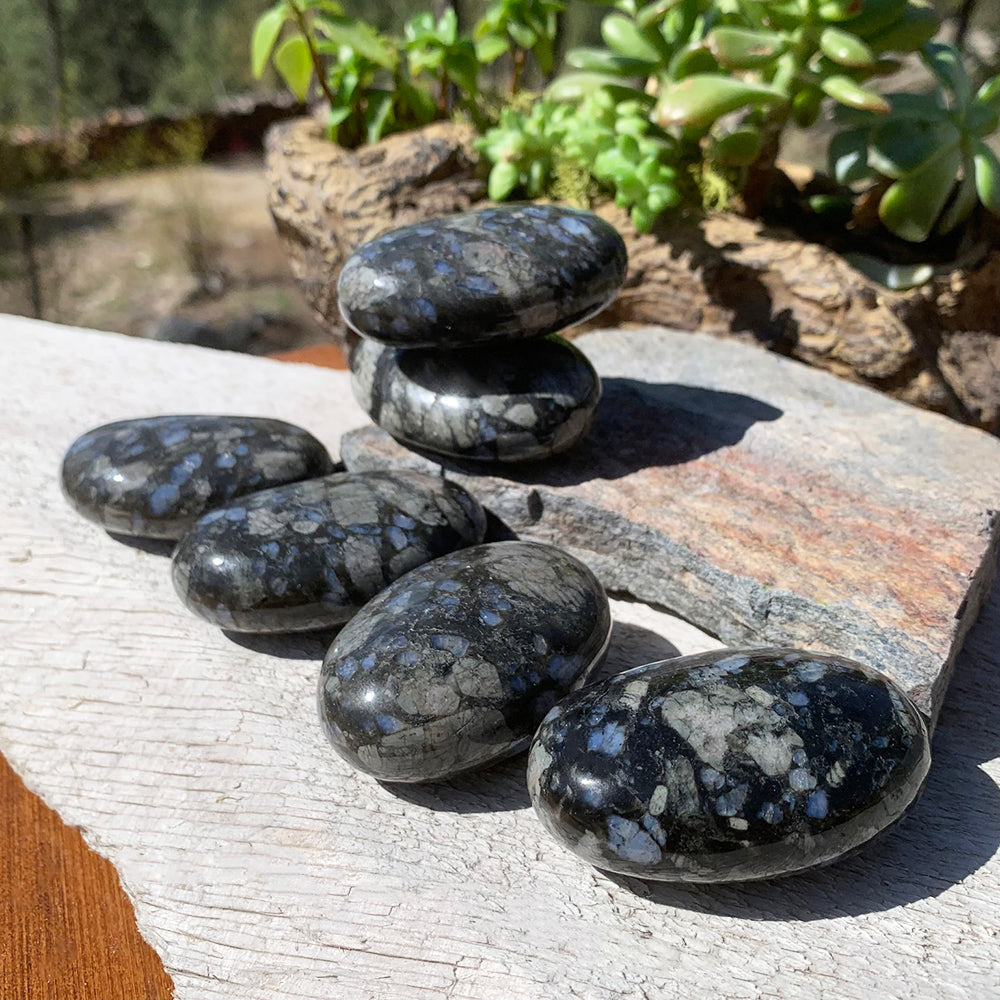 Several polished que sera jasper palmstones on a weathered board in sunlight, each with its own pattern of blue and gray flecks