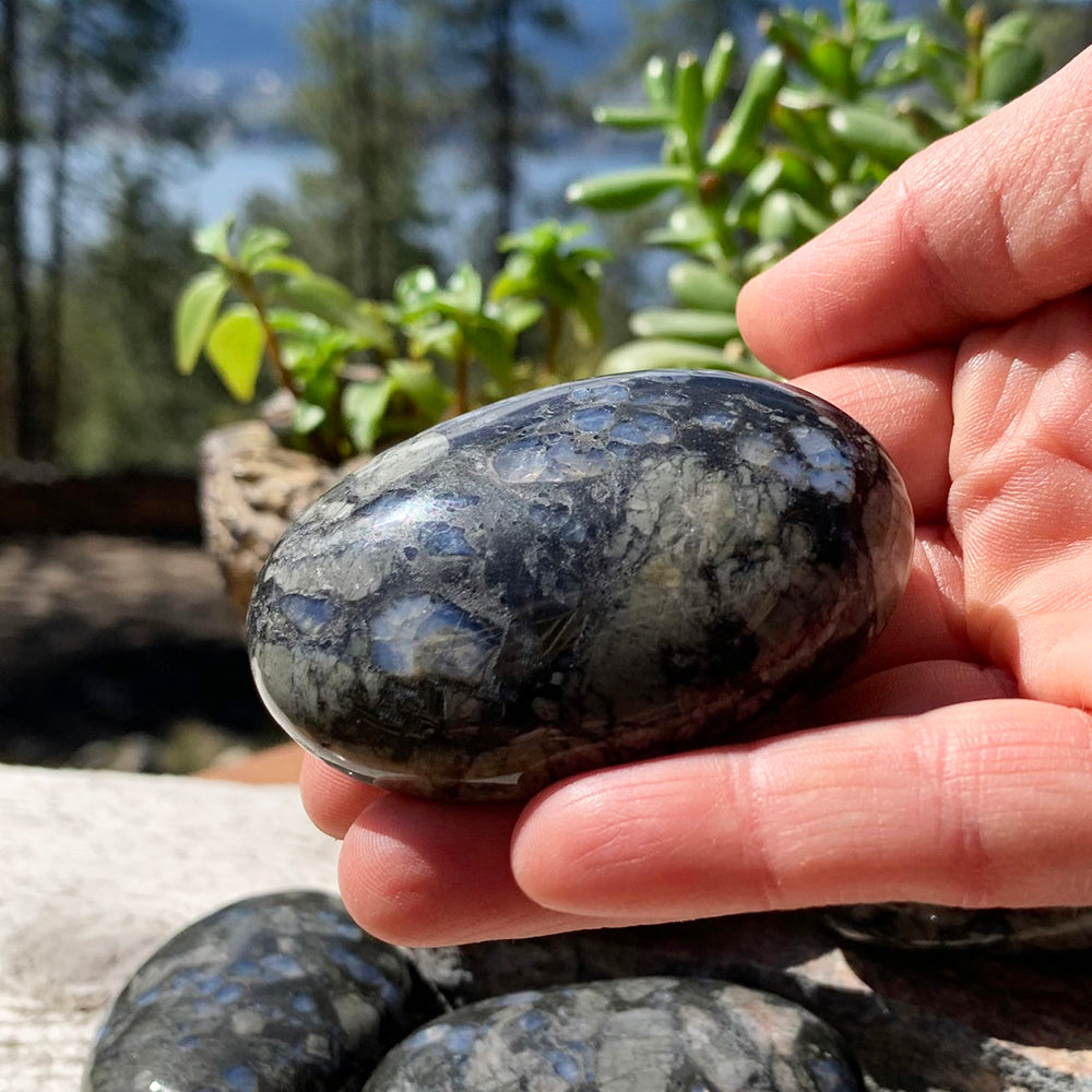 A polished oval que sera jasper palmstone, dark gray flecked with blue and pale gray, resting in an open hand outdoors