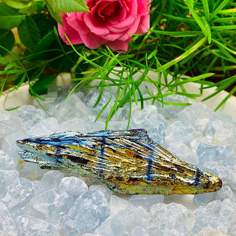 OFERTA GRATUITA! Peacock Titanium Kyanite - (basta pagar o custo do frete)