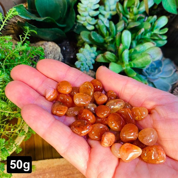 Red Carnelian Chalcedony Mini Gemstones (50 Gram / 1.7oz. Lot)