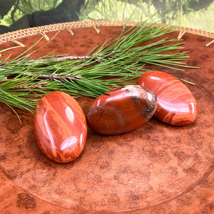 Kırmızı Jasper Palmiye Taşı