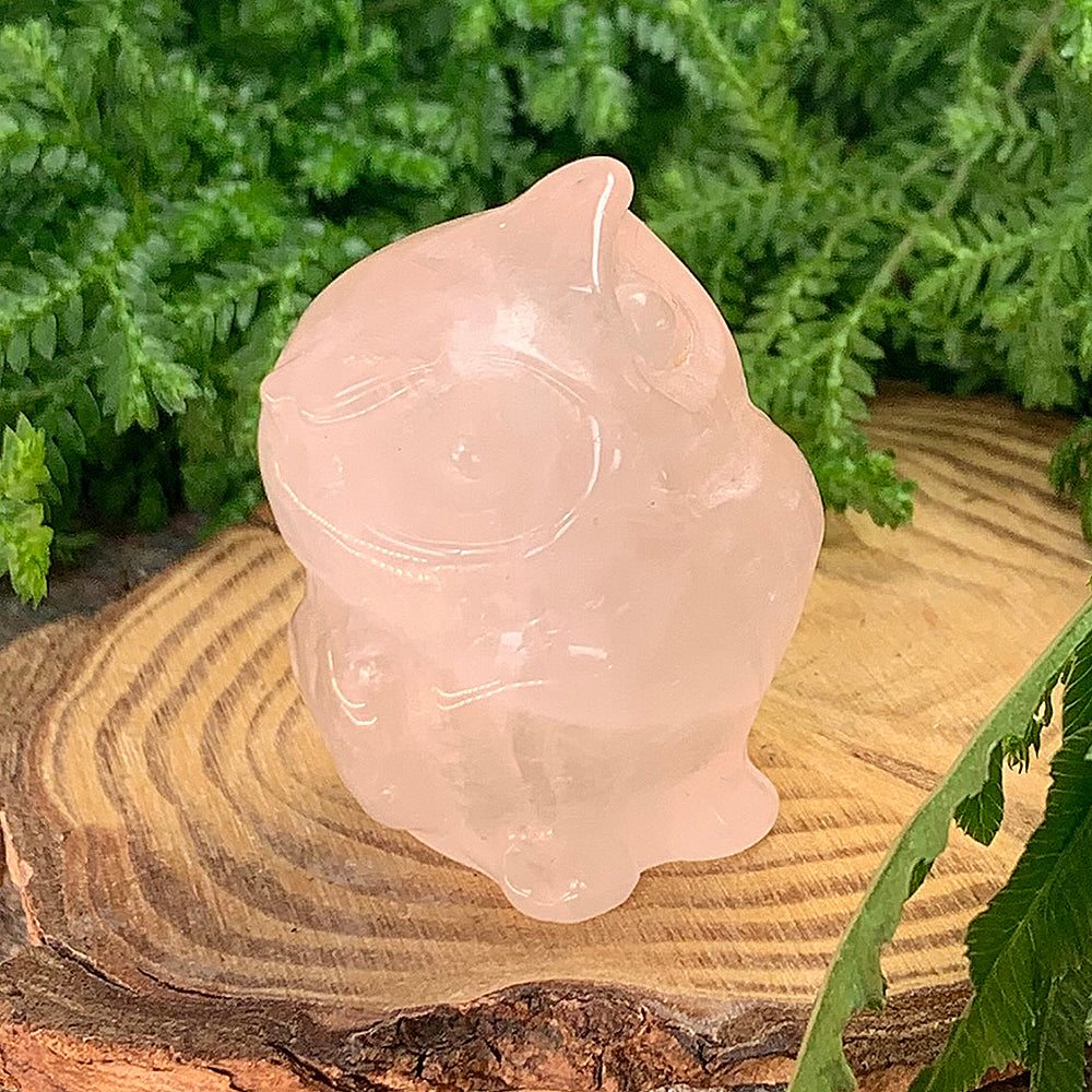 A pale pink rose quartz owl totem with large carved eyes and ear tufts, sitting on a wooden slice among ferns