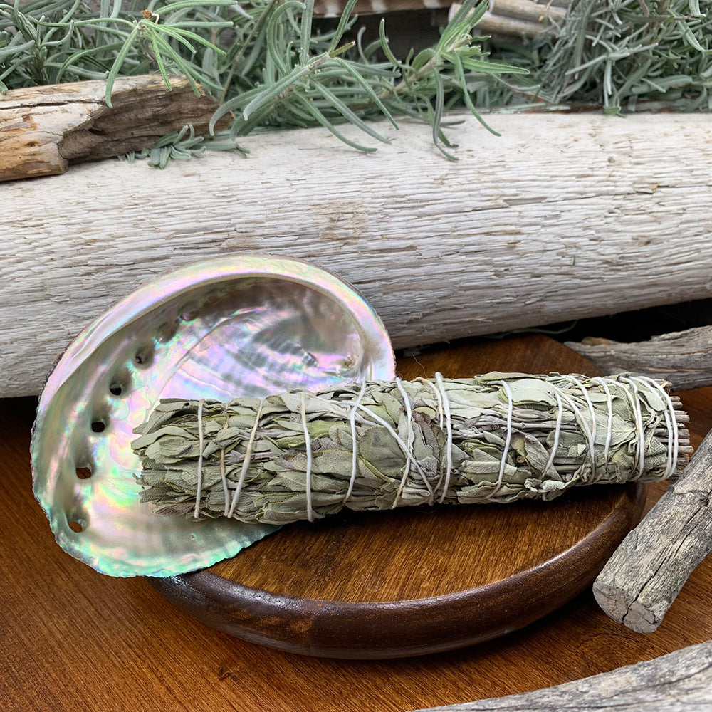 Sage Bundles With Abalone Shell – Spirit Magicka