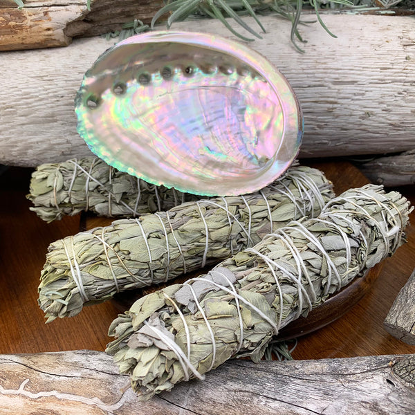 Smudge Kit: White Sage (6-tommer) + Abalone Shell
