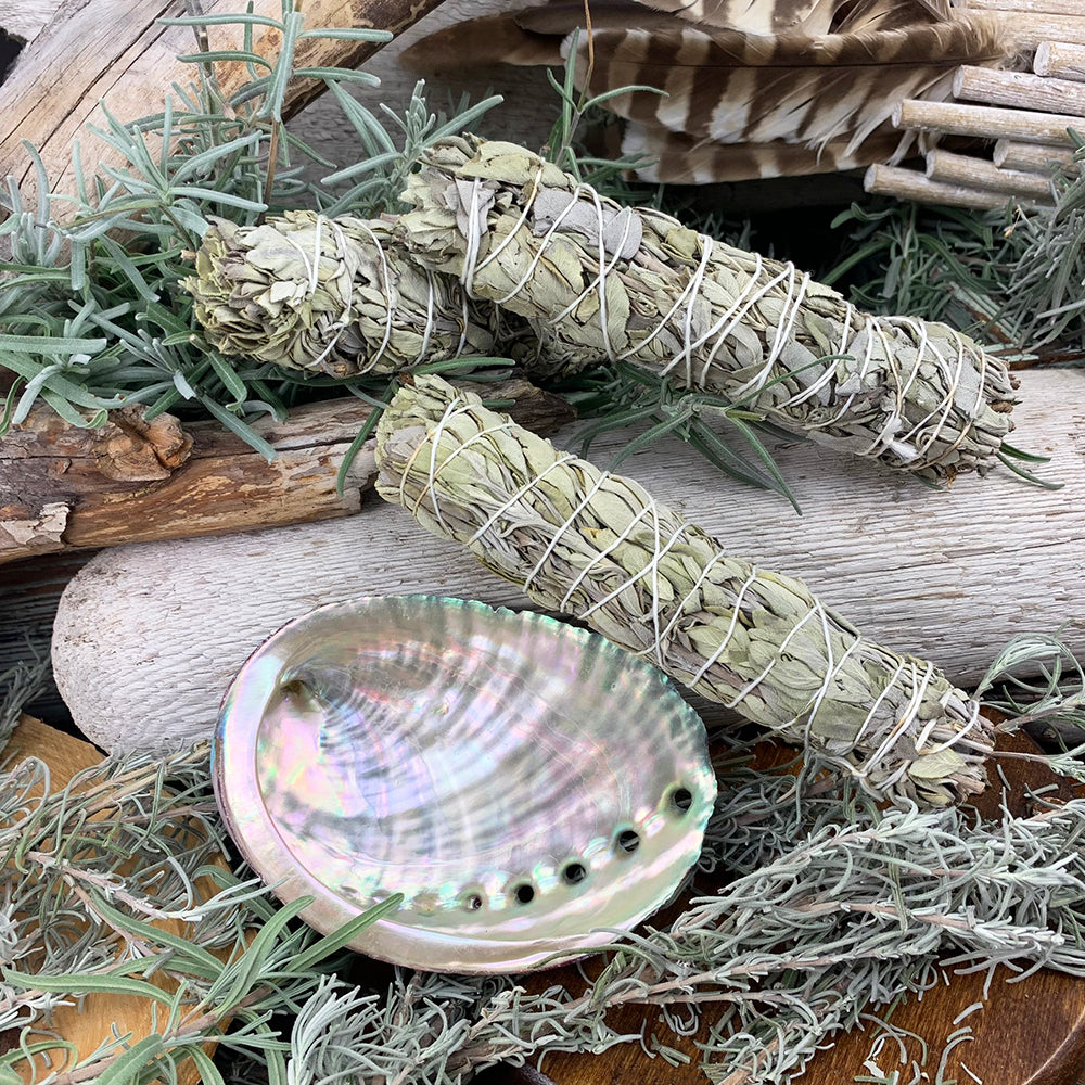 Sage Bundles With Abalone Shell – Spirit Magicka