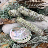 Smudge Kit: Witte Salie (6-inch) + Abalone Shell