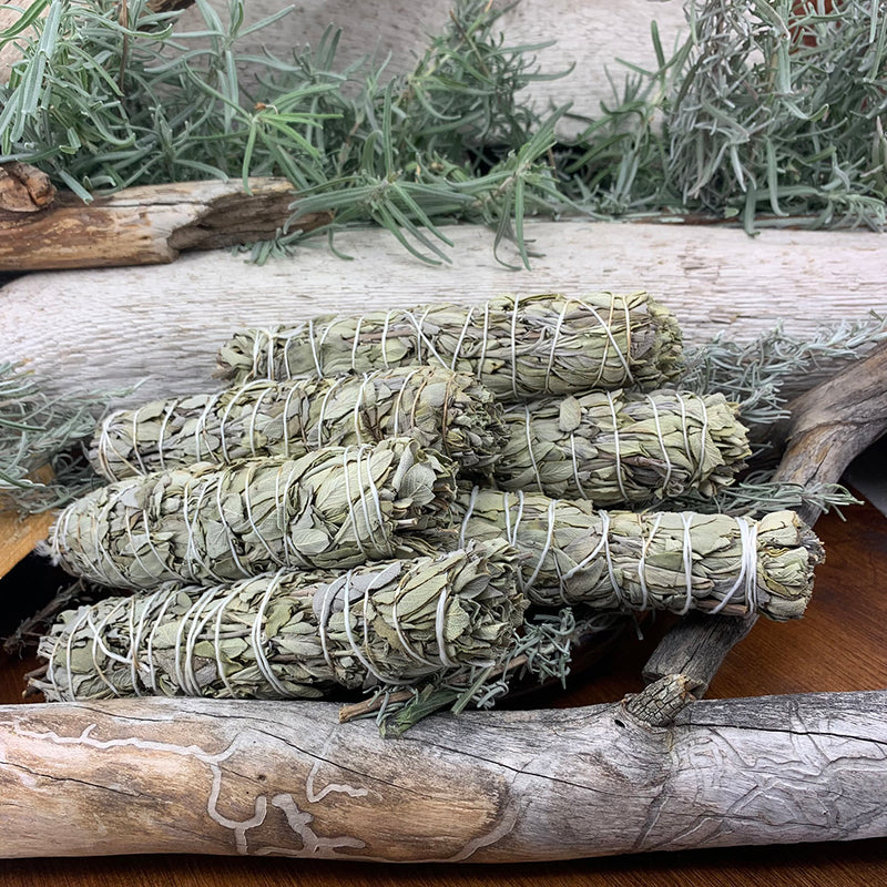 6-inch witte saliebundels