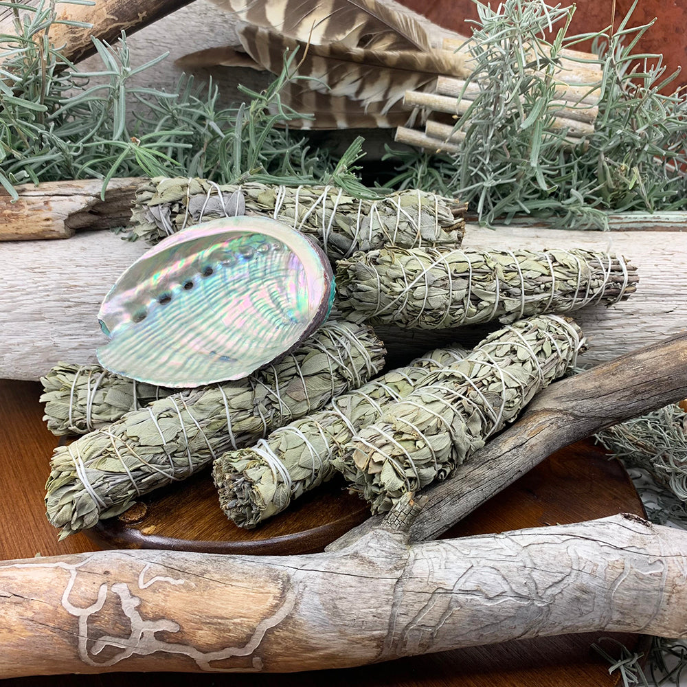 Sage Bundles With Abalone Shell – Spirit Magicka