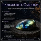 ♏ Skorpionen - 23. oktober - 21. november - Zodiac Crystal Fusion-sett med veske