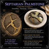 Palmstone settario