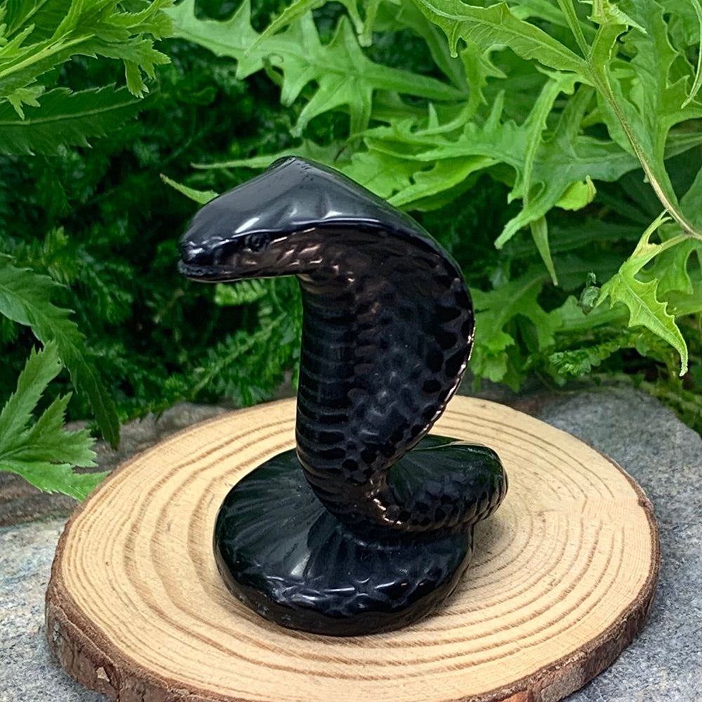 Glossy black agate cobra totem rising from its coiled base on a wooden slice among ferns