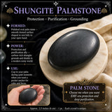 Palmstone Shungita