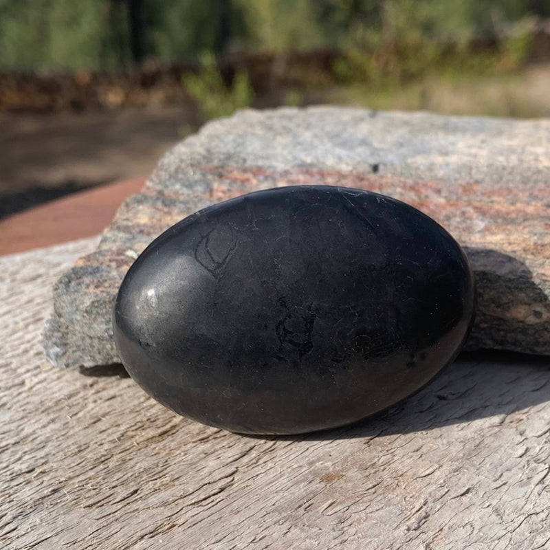 Piedra de Palma de Shungit