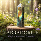 5-delers Guardian Crystal Energy Protection Set kun $29 1-dagers promo-salg