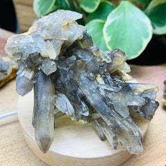 Copy of Smoky Quartz Cluster - clustergeode