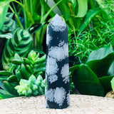 ZZZZ Nancy NEW Working on Snowflake Obsidian Point - wand