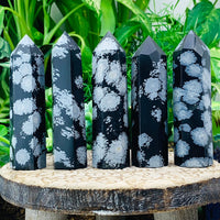 ZZZZ Nancy NEW Working on Snowflake Obsidian Point - wand