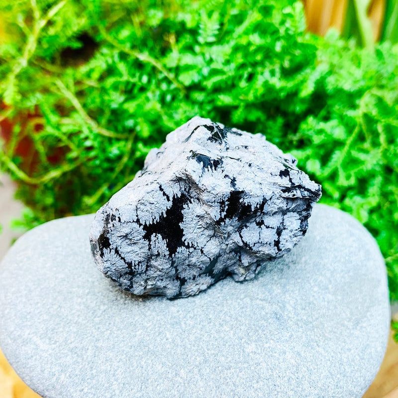 WORKING ON Snowflake Black Obsidian Rough - rawstone