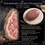 Aardbeienkwarts Palmsteen