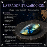 ♉ Taurus - 20. april - 20. maj - Zodiac Crystal Fusion-sæt med pose