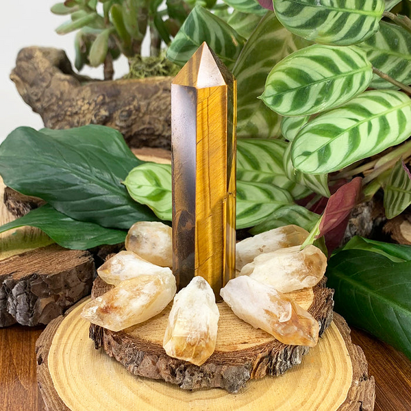 FREE GIVEAWAY! Tiger's Eye & Citrine Kit (8 Pieces) - (Just Pay Cost of Shipping)