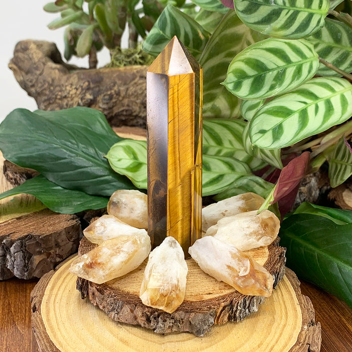 GRATIS GIVEAWAY! Tiger's Eye & Citrine Kit (8 deler) - (Bare betal fraktkostnaden)