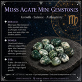 ♍ Maagd - 23 augustus - 22 september - Zodiac Crystal Fusion-set met etui