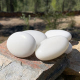 Pierre blanche Palmstone TRAVAIL SUR