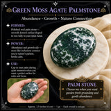 Groene Mos Agaat Palmsteen