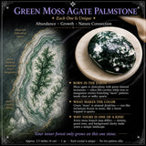 Groene Mos Agaat Palmsteen