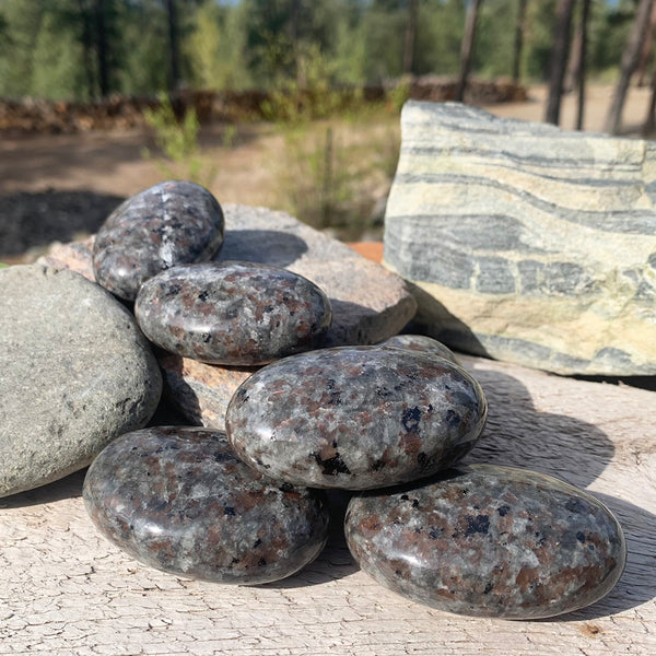 PRIZE WINNER! Yooperlite Palmstone