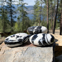 NANCY Zebra Jasper Palmstone