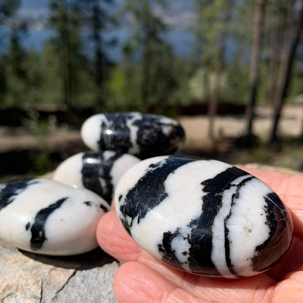 Zebra Jasper Palmstone